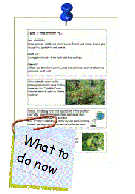 1_What_To_Do_Now.pdf